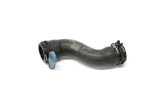 Mini Engine Coolant Hose - Upper 17129800478